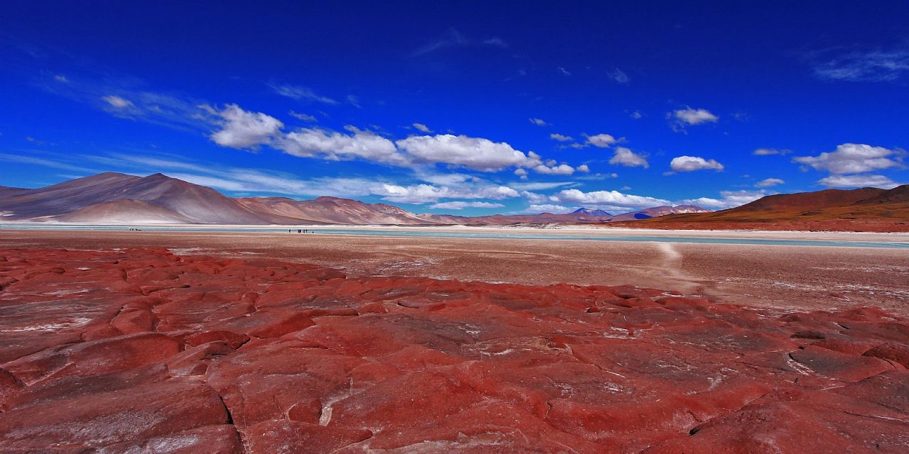 Da Atacama a Marte in cerca di vita