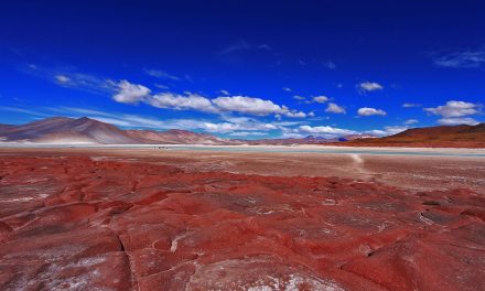 Da Atacama a Marte in cerca di vita