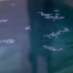 A caccia di microplastiche oceaniche dallo spazio