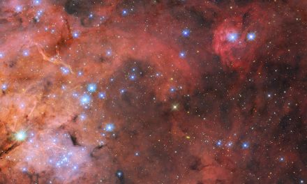 La Tarantola ancora in posa per Hubble