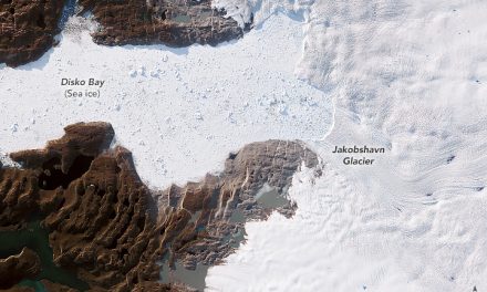 La Groenlandia ‘fa acqua’ anche in inverno