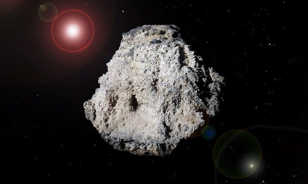 Nei campioni di Ryugu, possibili evidenze dei mattoni della vita