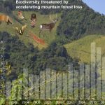 Sguardi spaziali sulle foreste di montagna