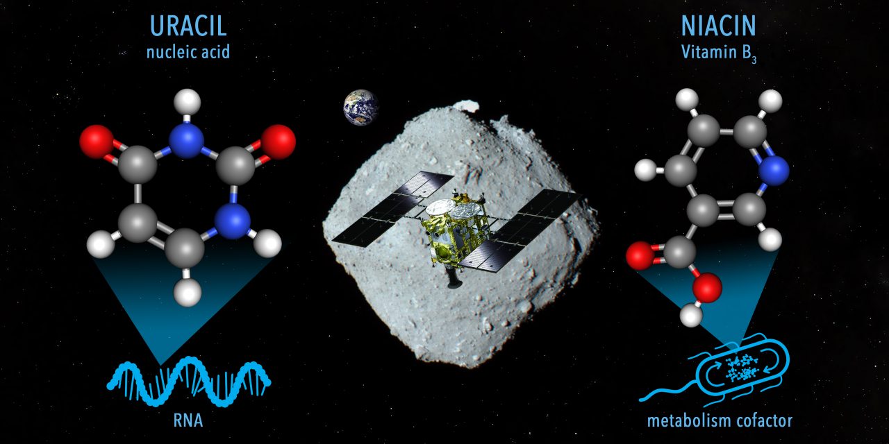 Ryugu, segni di Rna nei campioni dell’asteroide