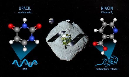 Ryugu, segni di Rna nei campioni dell’asteroide