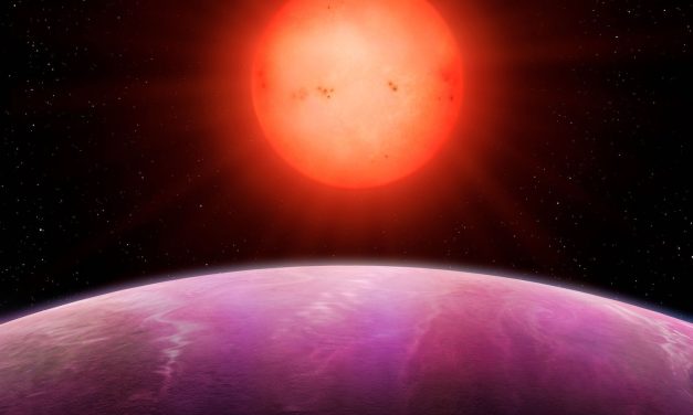 Anche le stelle piccole possono ospitare pianeti giganti