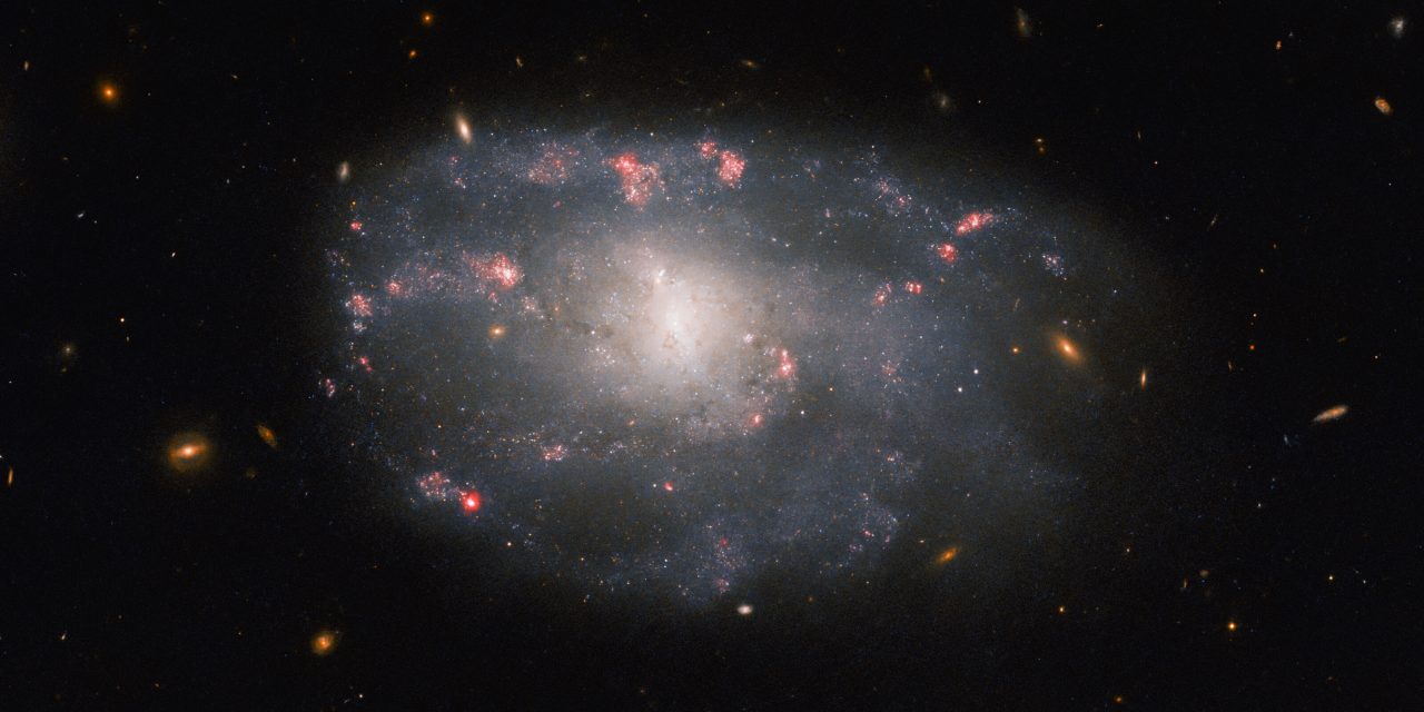 Una spirale irregolare nel mirino di Hubble