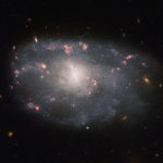 Una spirale irregolare nel mirino di Hubble