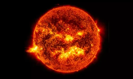 Il Sole è la stella che conosciamo?