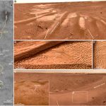 Tracce di acqua liquida su Marte a basse latitudini