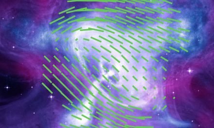 Mappato dallo spazio il campo magnetico della Nebulosa del Granchio