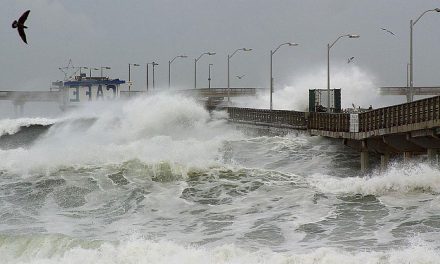 L’arrivo di El Niño annunciato dai satelliti