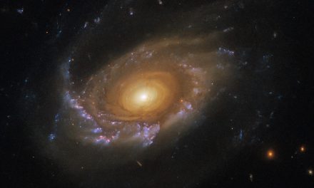 Un’altra ‘medusa’ galattica per Hubble