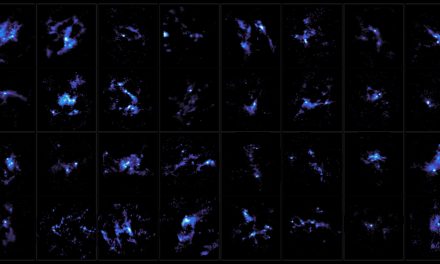 Nuova luce sulla nascita di stelle massicce