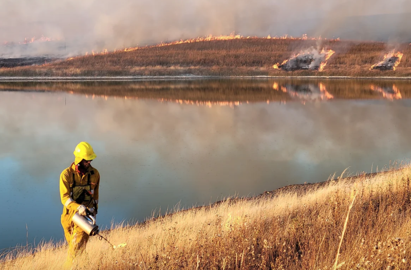 Deep Space Emergenza incendi in Canada, lo sguardo dei satelliti
