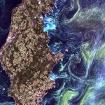 Un satellite per il fitoplancton