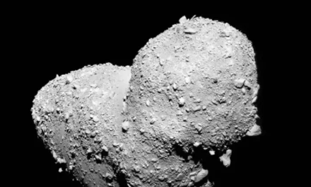 Acqua e sale su Itokawa, l’asteroide a forma di arachide