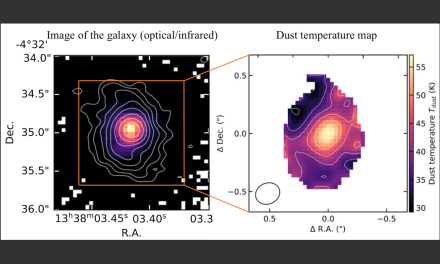 Dalla mappa di calore il tasso di crescita di una galassia lontana