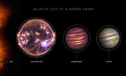 Scoperta la stella più fredda della radioastronomia