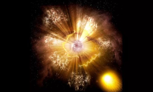 Supernova da record per i cittadini scienziati