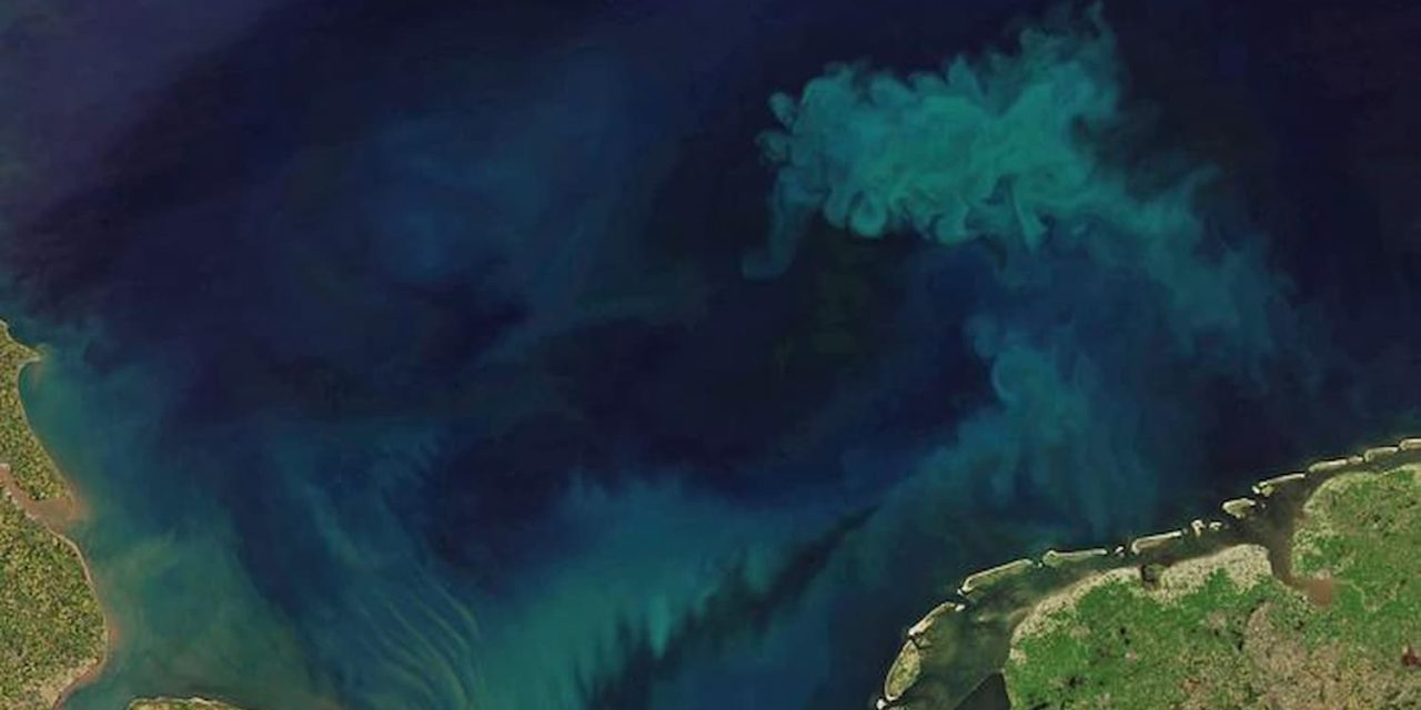 Il satellite Aqua monitora il cambiamento di colore degli oceani