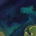 Il satellite Aqua monitora il cambiamento di colore degli oceani