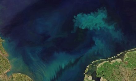 Il satellite Aqua monitora il cambiamento di colore degli oceani