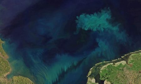 Il satellite Aqua monitora il cambiamento di colore degli oceani