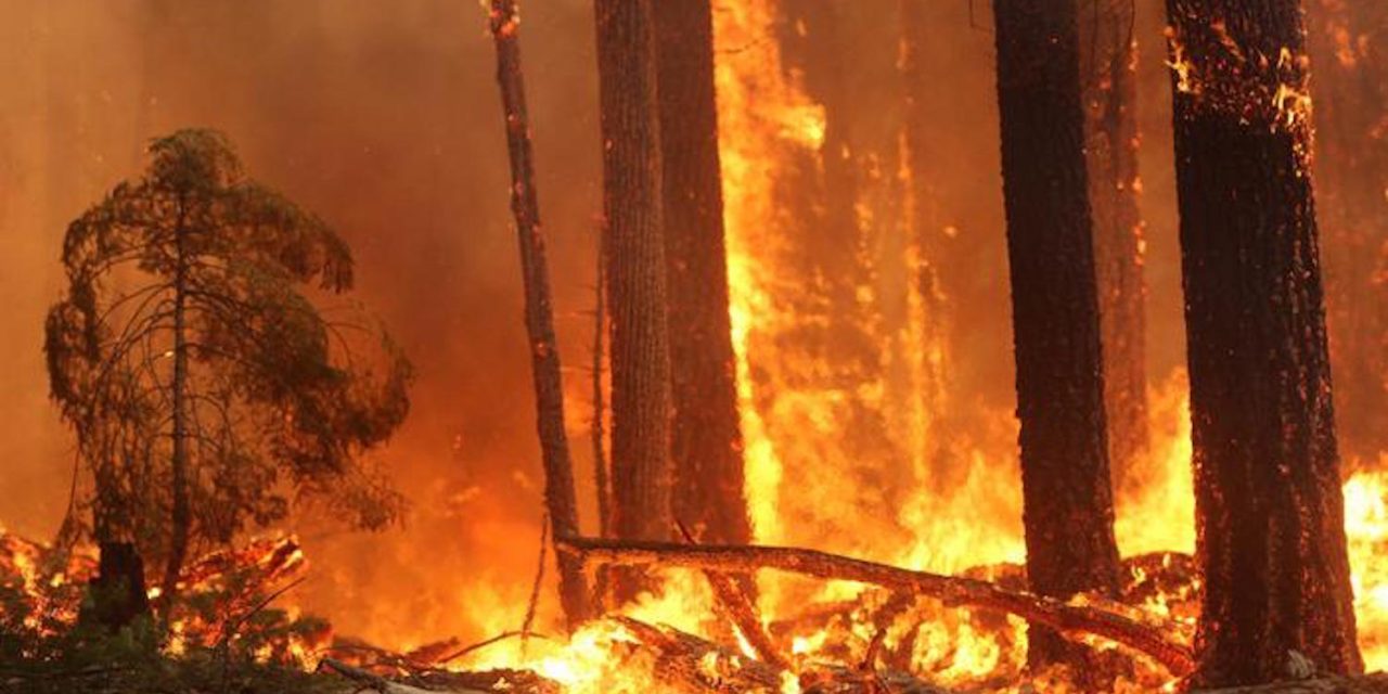 Gli incendi aumentano l’inquinamento dell’aria