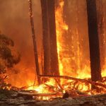 Gli incendi aumentano l’inquinamento dell’aria