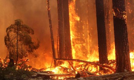 Gli incendi aumentano l’inquinamento dell’aria