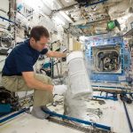Come il nostro corpo può risolvere l’anemia spaziale