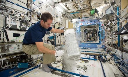 Come il nostro corpo può risolvere l’anemia spaziale