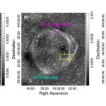Scoperto uno dei resti di supernova più grandi e vicini a noi