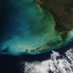 Un nuovo ‘alleato’ spaziale per tenere d’occhio le alghe