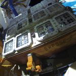 Batteri e lieviti a supporto di futuri insediamenti spaziali