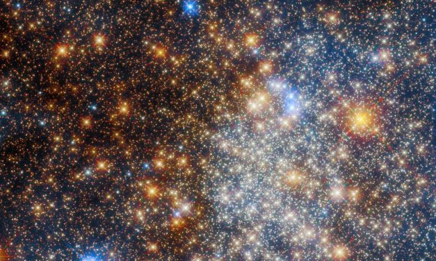 Hubble osserva l’ammasso globulare Terzan 12