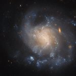 Un’eremita galattica