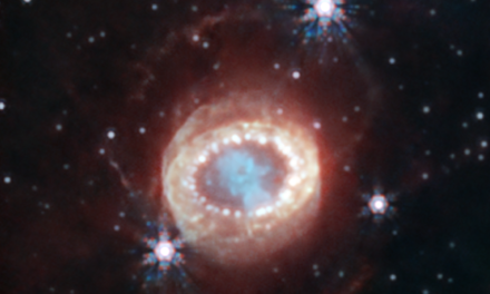 Una famosa supernova nell’occhio del Webb