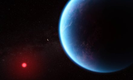 Un pianeta sub-nettuniano nell’occhio di Webb