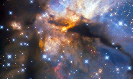 Una culla di ‘pesi massimi’ stellari
