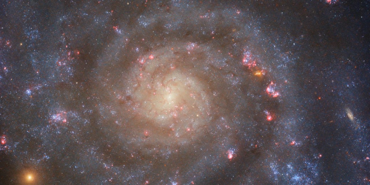 Una maestosa spirale per Hubble