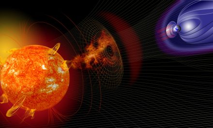 Dal ‘cuore’ degli alberi emerge un’antica tempesta solare