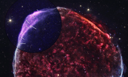 Ixpe immortala i resti di un’antica supernova