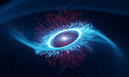 La pulsar con i raggi gamma più potenti è la Vela