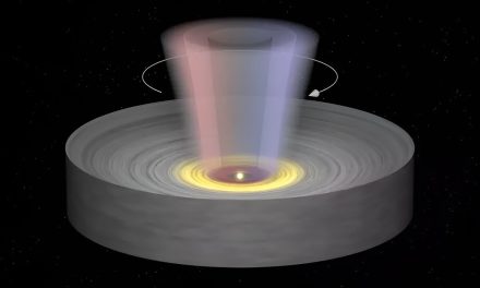 La stella dopo la tempesta, misurato il ‘vento’ del disco di accrescimento