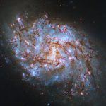 Hubble osserva una culla stellare nella Balena