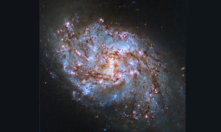 Hubble osserva una culla stellare nella Balena