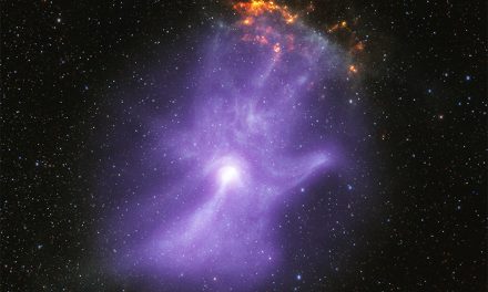 Chandra e Ixpe rivelano le ossa di una mano cosmica