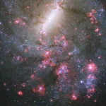 Lo sguardo di Hubble su una galassia del Webb